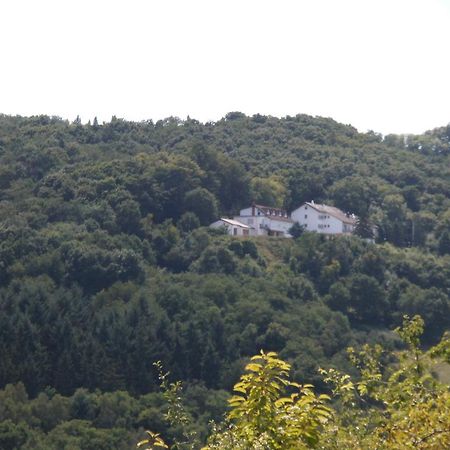 Burg-Hotel Obermoschel Εξωτερικό φωτογραφία