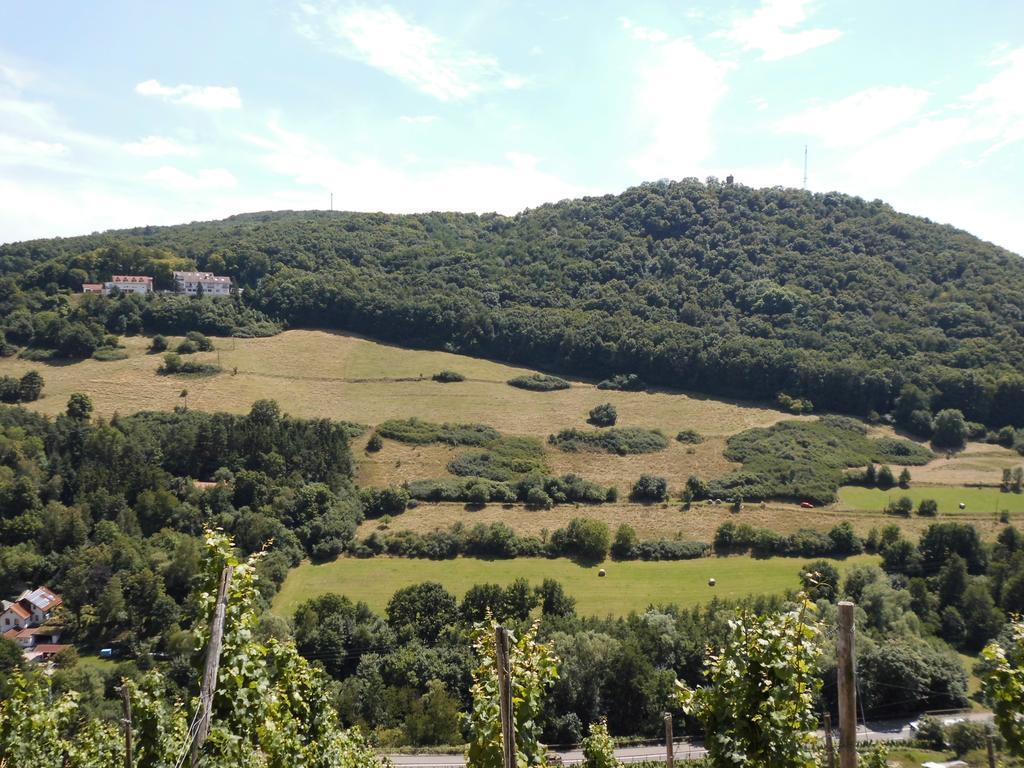 Burg-Hotel Obermoschel Εξωτερικό φωτογραφία